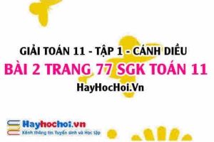 Giải bài 2 trang 77 Toán 11 tập 1 SGK Cánh Diều
